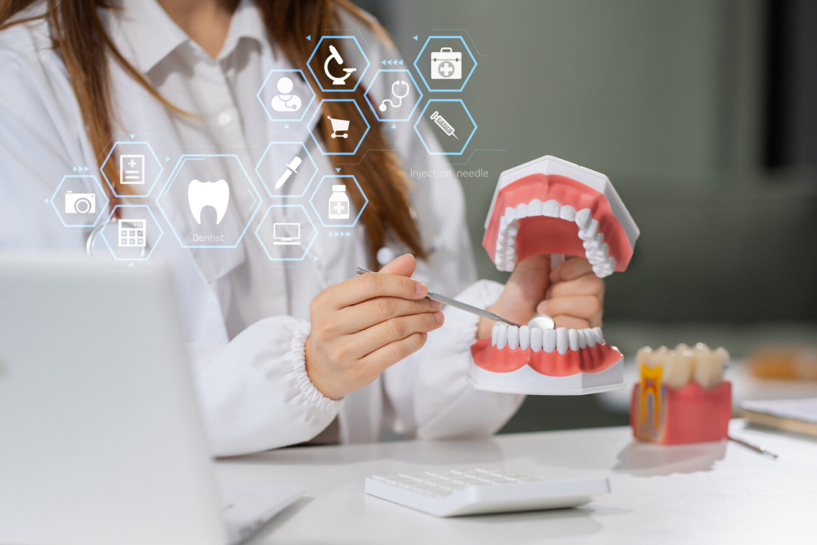 Dentist demonstrating dental model